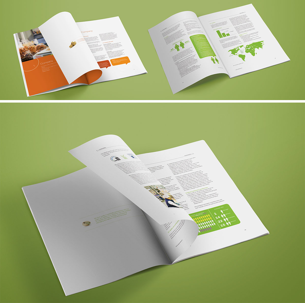 Sustainability report for Madi Ventura